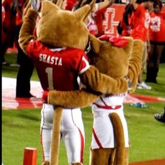 two people in mascot costumes standing on the sidelines