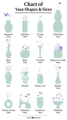 the chart of vase shapes and sizes is shown in this graphic style, with different types of vases to choose from