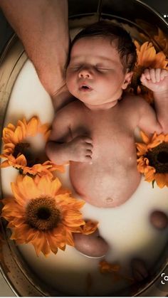 a baby in a tub with sunflowers on the bottom and water around it