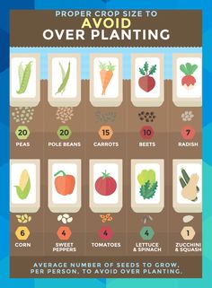 an info poster showing how to grow and avoid overplaning vegetables in the garden