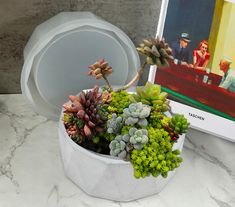 succulents and other plants in a white pot on a marble table