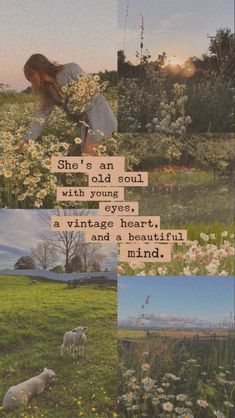 white lambs, vintage quote, spring flowers, “she’s an old soul with young eyes, a vintage heart and a beautiful mind” Spring Lockscreen, فنسنت فان جوخ, Wallpaper Estetika, Cottagecore Aesthetic, Spring Aesthetic, Beautiful Mind, Cute Wallpaper Backgrounds, The Grass