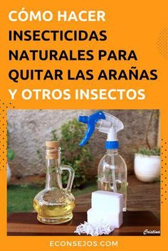 an advertisement for natural products on a table with the words como hacer insecidas naturales para quitar las araas y otros insectos insetos