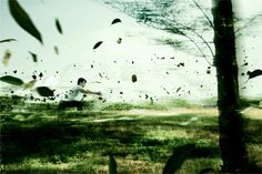 a man is running through the grass with an umbrella in his hand and birds flying around him