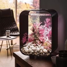 an aquarium with rocks and corals in it sitting on a table next to a chair