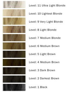 Hair Level Chart 1-10, Bleach Hair Levels, 10 Levels Of Hair Color, Bleach Levels Hair Color, Color Levels 1-10 Hair Chart, Hair Levels 1-10 Chart Bleach, Bleach Level Chart, Hair Developer Volume Chart, Hair Levels 1-10 Chart