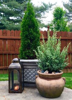 a potted plant sitting on top of a cement slab next to a light fixture