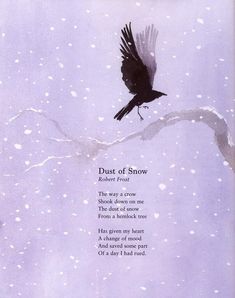 a poem written in the snow with a black bird on it's back end