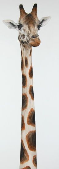 a giraffe's head and neck is shown in front of a white background