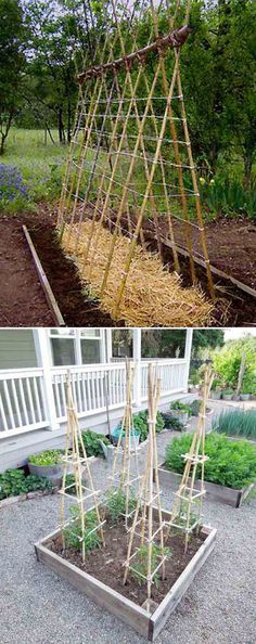 an outdoor garden with several different types of plants in it and the same type of trellis