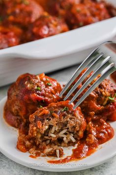 meatballs with sauce and rice on a white plate