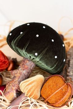 an assortment of different types of mushrooms and other things on the ground with straw grass