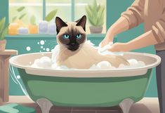 a siamese cat taking a bath in a green tub