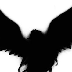 a black bird with its wings spread out in the air, silhouetted against a white background