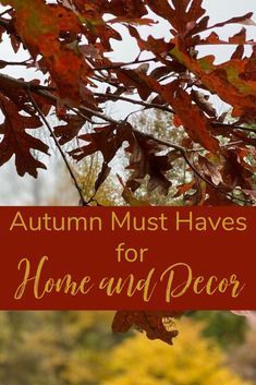 autumn must haves for home and decor