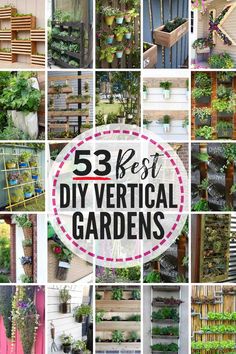 the best diy vertical garden ideas