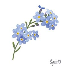 Forget Me Not Flowers, Flower Icons, 카드 디자인, Free Vector Graphics, Flower Illustration, Floral Illustrations