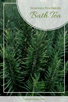 rosemary pine needle bath tea with text overlay