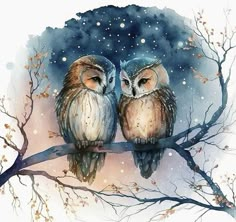 two owls are sitting on a branch in the snow