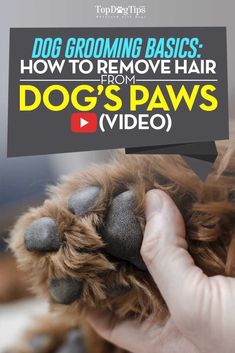 a dog's paw being held up to the camera with text overlaying it