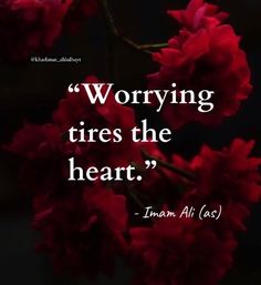 Ahlulbayt Quotes, Scholar Quotes, Mic Quotes, Ya Ali, Uncommon Words, Sufi Quotes