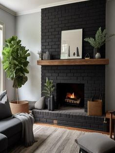 a living room with a couch, fireplace and potted plant