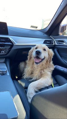 a dog is sitting in the driver's seat of a car