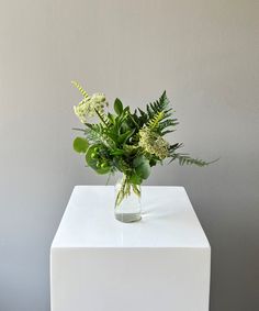 a vase filled with green plants on top of a white table