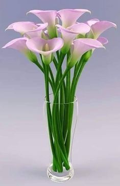 pink flowers are in a clear vase on a gray background, with long green stems