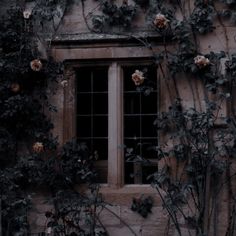 an old building with roses growing on the side and a window in the middle surrounded by vines