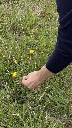 a person standing in the grass with their foot on some yellow dandelion flowers