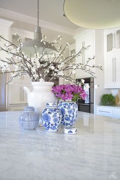 vases with flowers in them sit on a kitchen counter