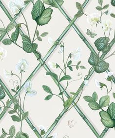 a wallpaper with white flowers and green leaves on the top right corner is a checkered diamond pattern