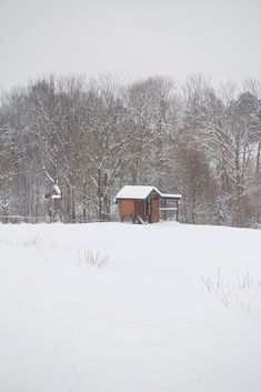 a snow covered field with a small cabin in the background