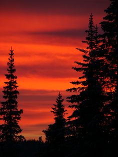 the sun is setting behind some trees in the snow covered forest with red and orange clouds