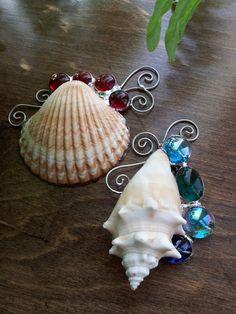 two seashells sitting on top of a wooden table