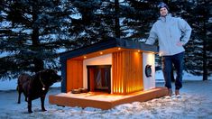 a man standing next to a dog in front of a small house with lights on