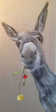 a painting of a donkey with a dandelion in it's mouth looking at the camera