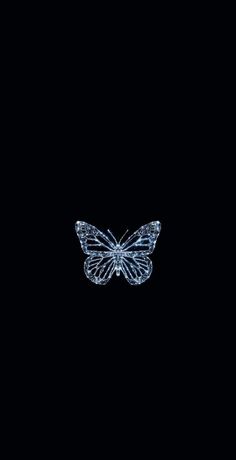 a butterfly that is flying in the dark