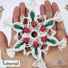 a hand holding a crocheted snowflake with red flowers and green leaves