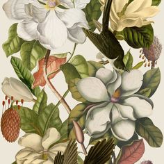 an illustration of flowers and leaves on a white background