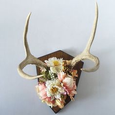 a deer's antlers with flowers in it on a wooden stand against a white wall