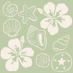 a green background with white silhouettes of seashells, starfish and flowers