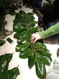 a person is holding a large green plant in front of some other plants and containers