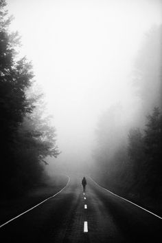 a person walking down the middle of a road in the fog with trees on both sides