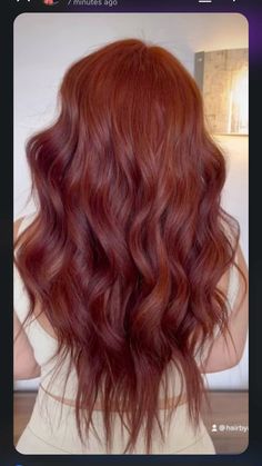 Gingery Red Hair, Rich Copper Red Hair Formula, Auburn Hair On Pale Skin, Warm Reds Haircolor, Mahogany Copper Hair Color, Dark Copper Red Hair Color Tan Skin, Red Copper Brown Hair, Dark Red Copper Hair Color