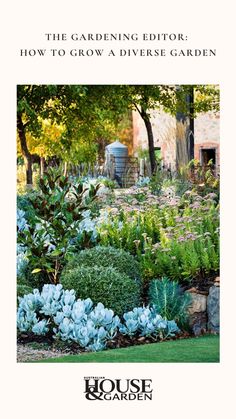 the gardening editor's guide to how to grow a diverse garden by house garden