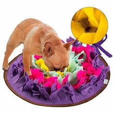 a dog laying on top of a pile of toys