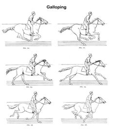 an image of horse and rider galloping instructions for children to learn how to ride