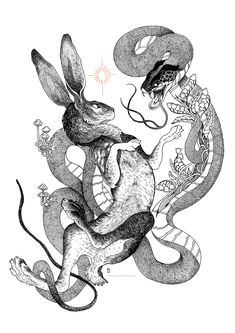 Hase Tattoos, Rabbit Drawing, Rabbit Tattoos, Snake Art, Rabbit Art, Art Trade, Animal Sketches, Animal Illustration